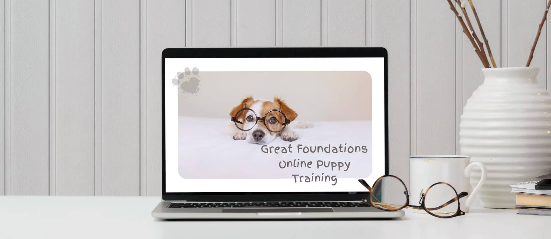 online puppy classes